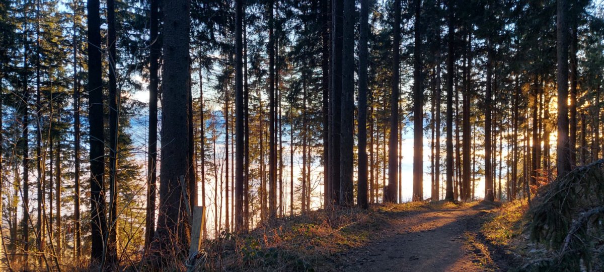 L'assertivité : s'affirmer avec impact et bienveillance