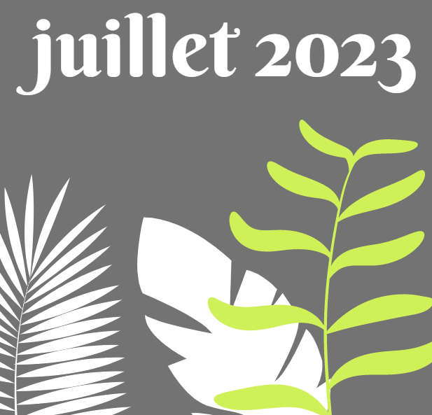 2023 05 23 photo Flyer Sophrologie
